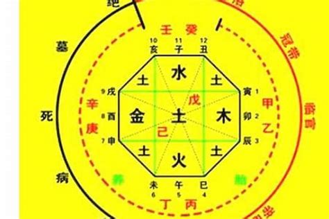 生日算命|生辰八字算命、五行喜用神查询（免费测算）